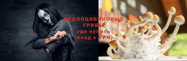 гидра Новосибирск