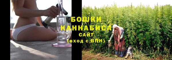 тгк Ижевск
