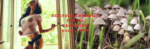 гидра Новосибирск