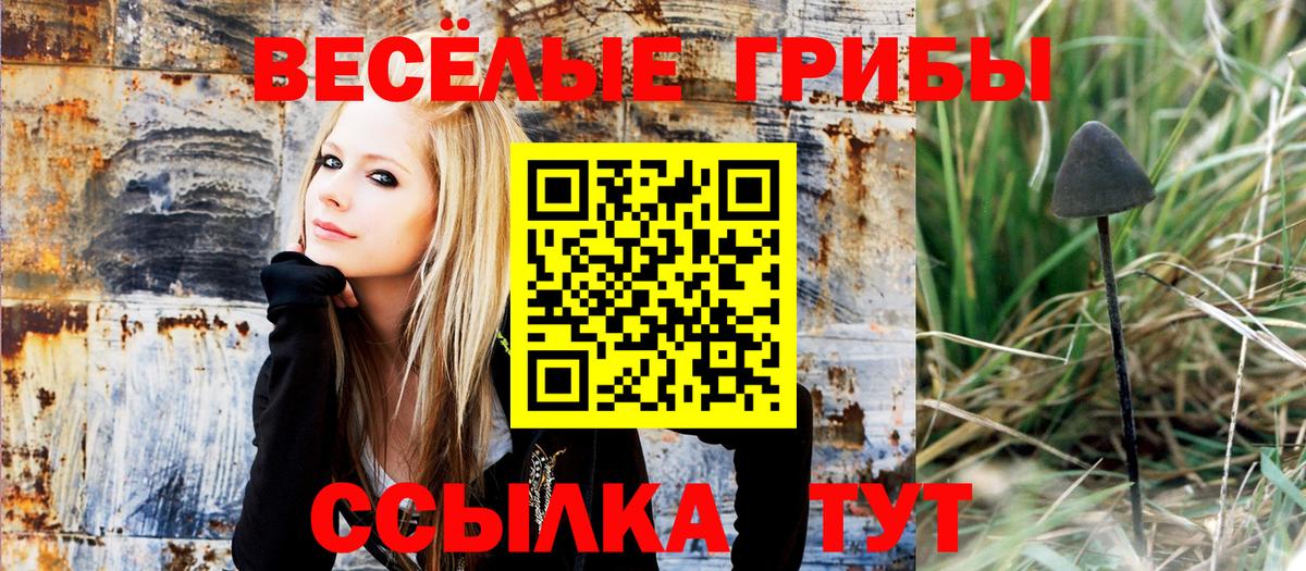 Галлюциногенные грибы Psilocybe  Балахна 