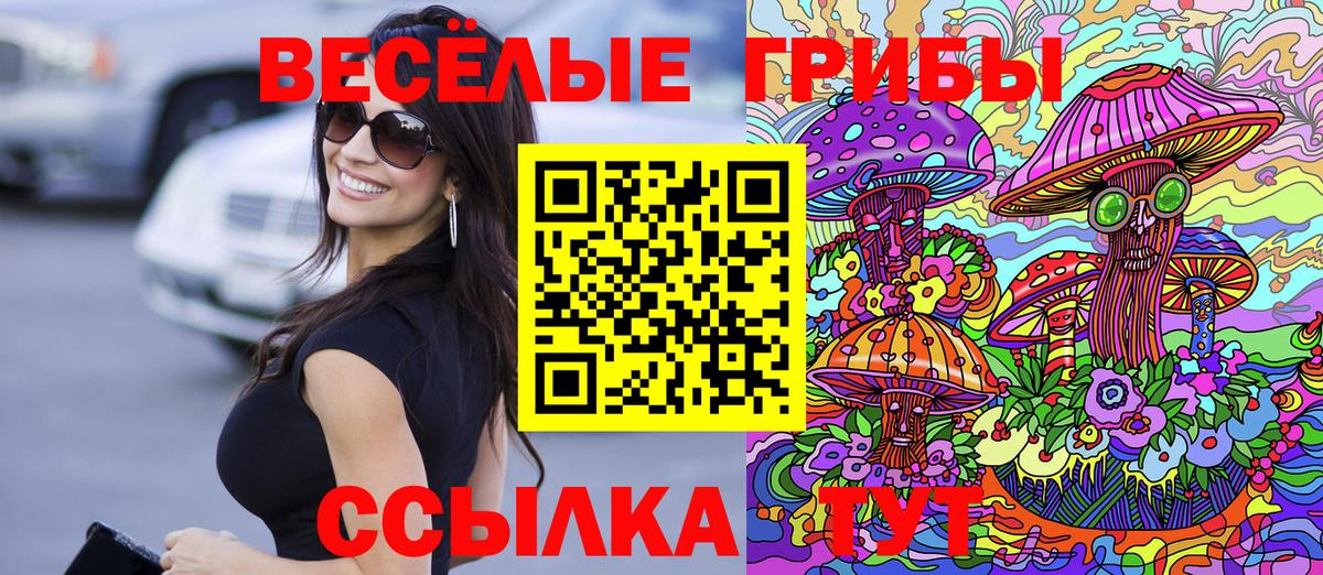 Псилоцибиновые грибы Psilocybe  Вход с VPN  Балахна 