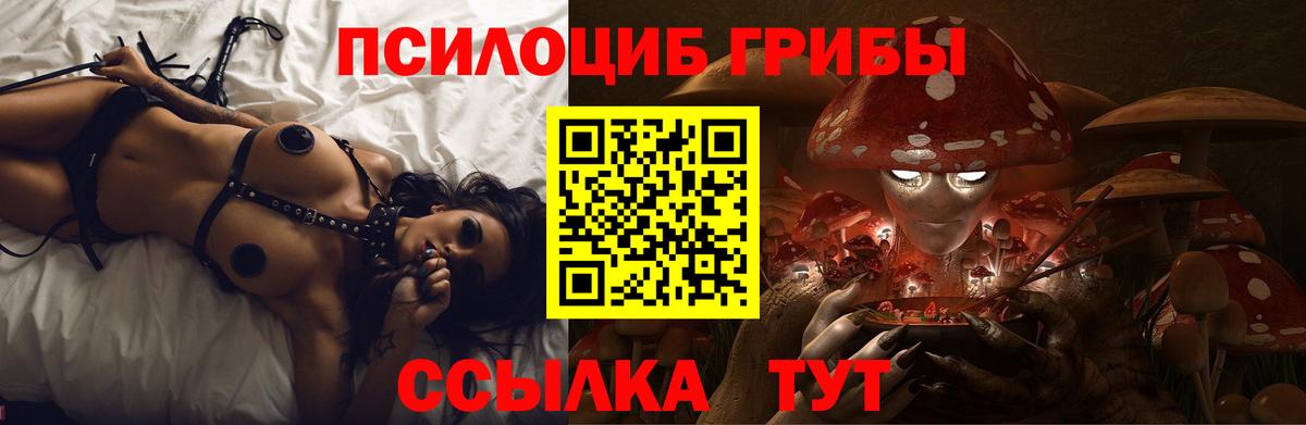 Псилоцибиновые грибы ЛСД Балахна